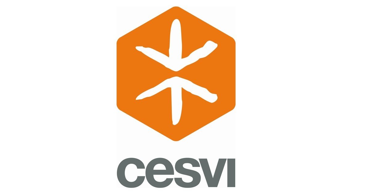 cesvi-fb-1535453280